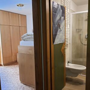 ein Bad mit einem Bett, einer Dusche und einem Waschbecken in der Unterkunft Sass Pordoi in Mazzin