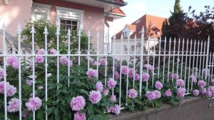 Vonkajšia záhrada v ubytovaní Valloris Apartments