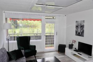 a living room with a chair and a television at Appartement Wolf Nummer 69 in Baiersbronn