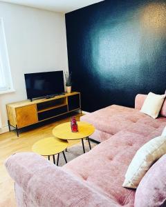 a living room with two pink couches and a tv at Shadow Sleep 2.0 in Schonungen