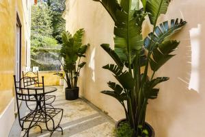 een veranda met 2 planten en een tafel en stoelen bij LUXa Charm House by LovelyStay in Sintra