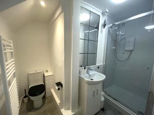 a bathroom with a toilet and a sink and a shower at Modern studio apartment; 10min walk to town & quay in Exeter