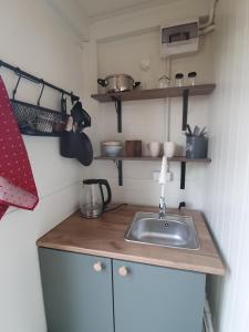 a kitchen with a sink and shelves on the wall at Domek Hrabiego -domek nr 1 in Rozkochów
