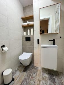 a bathroom with a toilet and a sink and a mirror at Apartament MotłEwa in Gdańsk