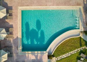 Φωτογραφία από το άλμπουμ του Ionian Aura στο Τσιλιβί