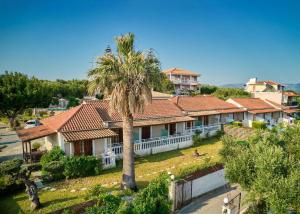 a house with a palm tree in front of it at Ionian Aura in Tsilivi