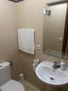 ein Badezimmer mit einem Waschbecken, einem WC und einem Spiegel in der Unterkunft APARTAMENTO TURÍSTICO VEGA HOUSE in Córdoba