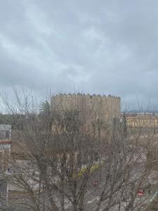 Fotografia z galérie ubytovania APARTAMENTO TURÍSTICO VEGA HOUSE v destinácii Córdoba