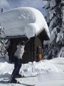 Heerlijke wandel of ski vakantie in Torgon Portes du Soleil v zimě