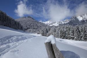 Heerlijke wandel of ski vakantie in Torgon Portes du Soleil v zimě