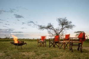 Fotografie z fotogalerie ubytování Mawe Tented Camp v destinaci Serengeti