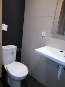 ein Badezimmer mit einem weißen WC und einem Waschbecken in der Unterkunft VT SENALDE-GOIENURI in Laudio/Llodio
