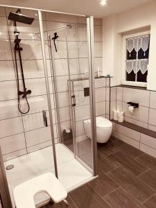 a bathroom with a glass shower and a toilet at Ferienwohnung Erika in Waischenfeld