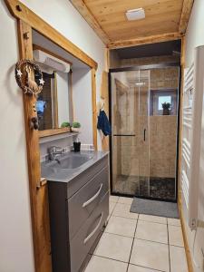 a bathroom with a sink and a shower at Le Banc Des Seilles in Bonvillard