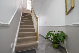 a staircase with a potted plant in a hallway at Marylebone Village Apartments in London