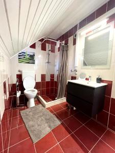 een badkamer met een toilet, een douche en een wastafel bij Nyuszis Apartman in Kiskunmajsa