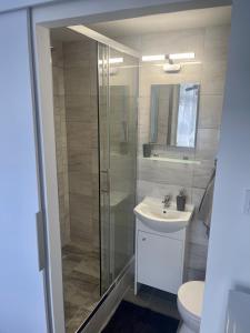 y baño con ducha, lavabo y aseo. en Remény apartman en Szeged