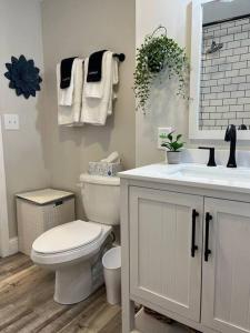ein weißes Bad mit einem WC und einem Waschbecken in der Unterkunft Family Beach Fun Spot, Firepit, Games, FireTV in Michigan City