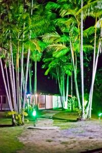 Photo de la galerie de l'établissement Vila Noah Pousada, à Parati 31 autres photos