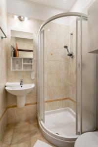 La salle de bains est pourvue d'une douche et d'un lavabo. dans l'établissement Vila Vyšehrad, à Luhačovice