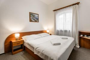 Postel nebo postele na pokoji v ubytování Vila Vyšehrad