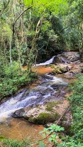 a stream in the middle of a forest at Pousada Olivier da Montanha - Recanto das Águas in Santo Antônio do Pinhal