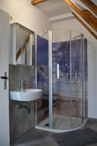 a bathroom with a sink and a glass shower at Balders Bude 2 in Mönkebude