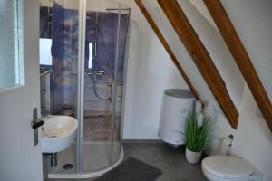 a bathroom with a shower and a toilet and a sink at Balders Bude 2 in Mönkebude