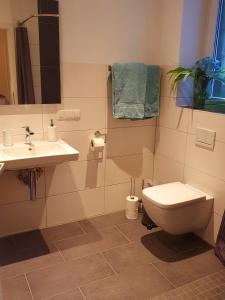 a bathroom with a toilet and a sink at Kleines Domizil am Südhang in Ortenberg