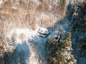 シュチルクにあるPoziomkowa Chataの雪の家の空見