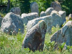 Fotografia z galérie ubytovania Camping le Dolmen, Carnac, Morbihan v destinácii Carnac