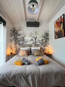a bedroom with a bed with two pillows on it at Chambre au calme avec spa privatif gratuit sud aveyron les palmiers des causses in Saint-Rome-de-Tarn