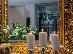 Fotografie z fotogalerie ubytování Hotel Rhyhof v destinaci Frauenfeld