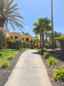 a sidewalk in front of a building with palm trees at Seaside Apartment Corralejo : A cozy holiday home in a peaceful well located green complex in Corralejo