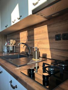 Billede fra billedgalleriet på Kuća za odmor Baron i Kutjevo