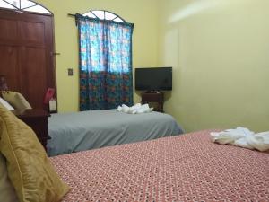 a room with two beds and a tv and a window at Guest House Los Corredores del Castillo in Granada