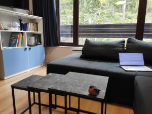 sala de estar con sofá y mesa en Forest Dream Apartment - Elit Pamporovo, en Pamporovo