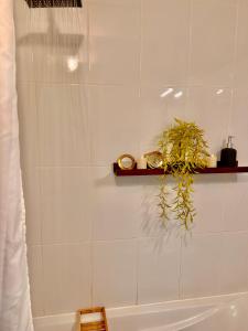 een badkamer met een wit bad en een plant op een plank bij Les Petites Fécampoises by Mathilde in Fécamp