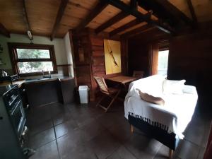 1 dormitorio con 1 cama y escritorio en una habitación en Titania Traful en Villa Traful