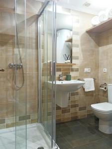 a bathroom with a shower and a sink and a toilet at Charm apartment in Cambados