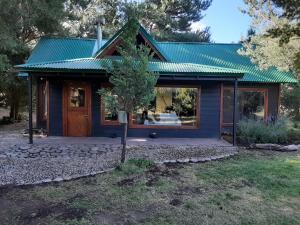 una pequeña casa azul con techo verde en Titania Traful en Villa Traful