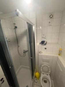 ein kleines Bad mit einer Dusche und einem WC in der Unterkunft Monteursparadies 4 DZ, 2 Bäder, einfach gut in Haßloch