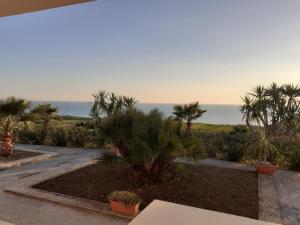 einen Garten mit Palmen und dem Meer im Hintergrund in der Unterkunft Villa Cecilia in Montallegro