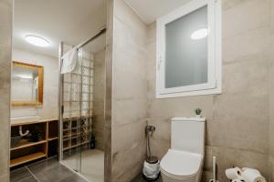 uma casa de banho com um WC e uma cabina de duche em vidro. em Apartamento Vara de Rey em Logroño