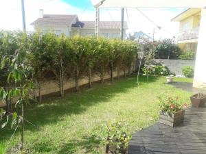 un jardín con una fila de árboles y césped en Apartamento con jardín, en Lira