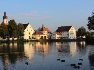 un grupo de patos en el agua frente a los edificios en Hotel Gasthof Seehof en Allersberg