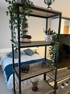 a room with a loft bed with potted plants at Pensió Torrent in L'Escala
