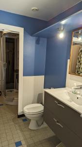La salle de bains bleue est pourvue de toilettes et d'un lavabo. dans l'établissement Escale du château de Promery 1389, à Annecy
