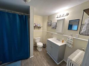 The Yellow Door 3-bedroom downtown near VT&RU في رادفورد: حمام مع ستارة دش زرقاء ومرحاض