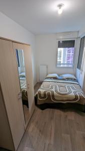 ein Schlafzimmer mit einem großen Bett und einem Fenster in der Unterkunft Chambre dans appartement près du Roazhon Park in Rennes
